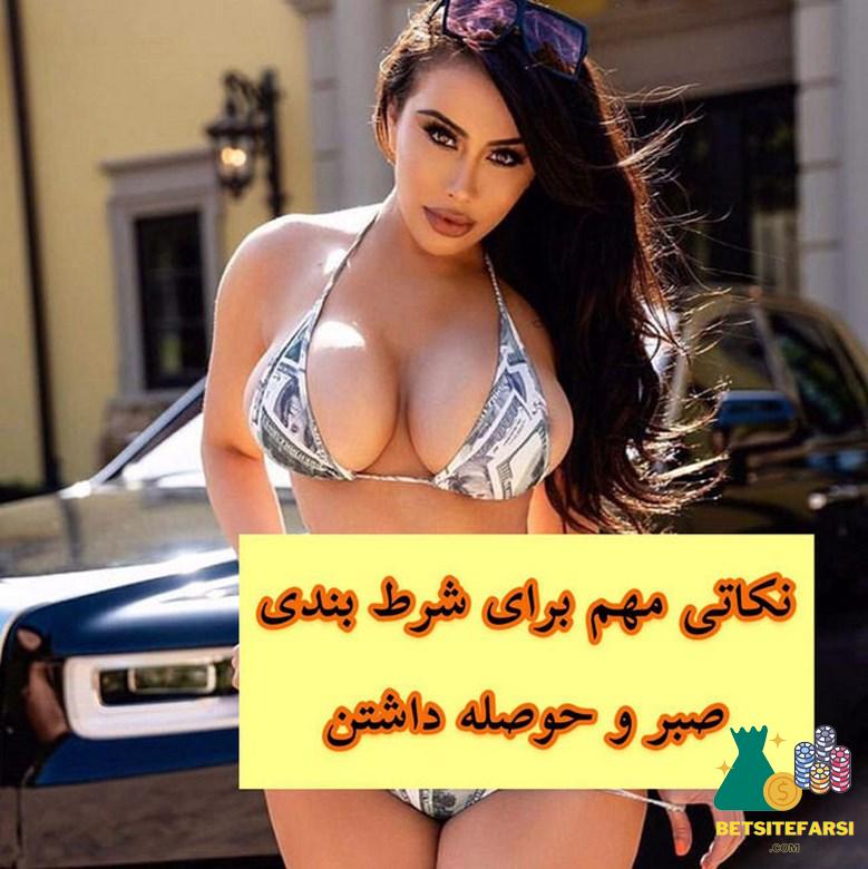 سیستم برداشت سود در سایت شرط بندی والیبال